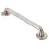 Moen Home Care Peened 48" Concealed Screw Grab Bar, R8748P