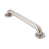 Stainless 16" Grab Bar, R8916