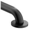 Moen Home Care 48" Concealed Screw Grab Bar, R8948BL