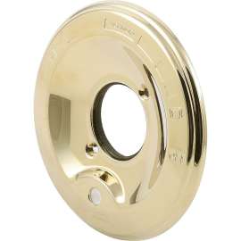 Escutcheon in Brilliance Polished Brass