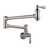 Wall Mount Pot Filler Faucet - in Brilliance Stainless