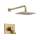 Vero T17253-CZ Dual Function Pressure Balanced Shower Trim with Integrated Shower Trim Less Rough-in in Champagne Bronze