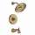 T14497-CZLHP Cassidy Single Function Pressure Balanced Bath and Shower Trim Less Handle and Rough-In Valve in Champagne Bronze
