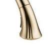 Delta Addison(R): Wand Assembly & Hose, RP60976CZ