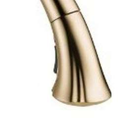 Delta Addison(R): Wand Assembly & Hose, RP60976CZ