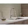 Single Handle Pull-Down Kitchen Faucet with Touch2O Technology in Chrome Finish