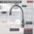 Single Handle Pull-Down Kitchen Faucet with ShieldSpray in Chrome Finish