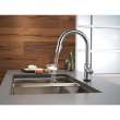 VoiceIQ Single-Handle Pull-Down Kitchen Faucet in Arctic Stainless Finish