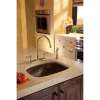 Two Handle Kitchen Faucet with Spray in Champagne Bronze
