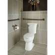 Delta BathSafety: Traditional Tissue Holder with Assist Bar, 41350-RB