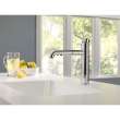 Trinsic 4159-DST Single Handle Pull-Out Kitchen Faucet in Polished Chrome