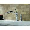 Linden 4453-DST Single Handle Kitchen Faucet with Spray in Polished Chrome