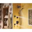 55051-RB Dryden Premium Single-Setting Adjustable Wall Mount Hand Shower in Venetian Bronze