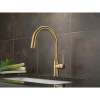 Single Handle Pull-Down Kitchen Faucet in Champagne Bronze