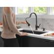 19831Z-BLSD-DST Hazelwood Single Handle Pull Down Kitchen Faucet with Soap Dispenser and ShieldSpray Technology, Matte Black