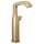 776-CZLHP-DST Stryke Vessel Faucet Less Handle, Champagne Bronze