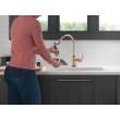 9190T-CZ-DST Broderick Single Handle Pull Down Kitchen Faucet with Touch2O Technology, Champagne Bronze