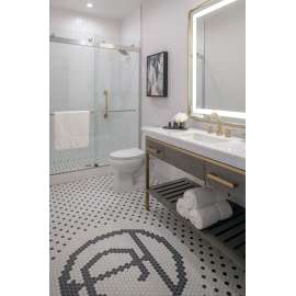 RP40593SP Other Shower Arm, Spotshield Brushed Nickel