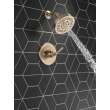 T14235-CZ SAYLOR Monitor 14 Series Shower Trim, Champagne Bronze