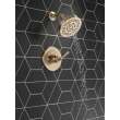 T14235-CZ SAYLOR Monitor 14 Series Shower Trim, Champagne Bronze