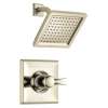 T14251-PN-WE Dryden Monitor 14 Series Shower Trim, Polished Nickel