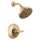 T14289-CZ-PR Tetra 14 Series Shower Trim, Lumicoat Champagne Bronze