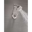 T14289-SS-PR Tetra 14 Series Shower Trim, Lumicoat Stainless