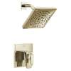 T17243-PN-PR Trillian 17 Series H2Okinetic Shower Only Trim, Lumicoat Polished Nickel
