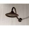 Raincan Single-Setting Shower Head in Venetian Bronze