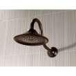 Raincan Single-Setting Shower Head in Venetian Bronze