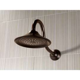 Raincan Single-Setting Shower Head in Venetian Bronze