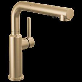 Delta Daneri(TM): Single Handle Pull-Out Kitchen Faucet, 16879-CZ-DST