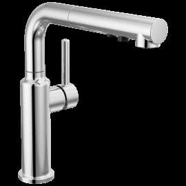 Delta Daneri(TM): Single Handle Pull-Out Kitchen Faucet, 16879-DST