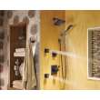 Delta Other: Surface Mount Body Spray, 50150-RB