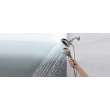 Delta Universal Showering Components: H2OKinetic(R) In2ition(R) 5-Setting Two-in-One Shower, 58480-SS25-PK