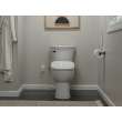 Delta Refresh: Ultimate Elongated Electric Bidet Toilet Seat, 893007E-WH