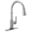 Delta Broderick(R): Escutcheon - Pulldown, RP100845AR