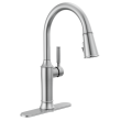 Delta Renaldi(TM): Escutcheon, RP100845ARPR