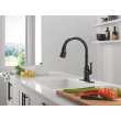 Delta Broderick(R): Eschtcheon, Mounting Screws, Gasket, Nuts & Washers, RP100845BL