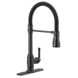 Delta Broderick(R): Eschtcheon, Mounting Screws, Gasket, Nuts & Washers, RP100845BL