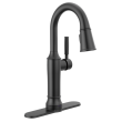 Delta Broderick(R): Eschtcheon, Mounting Screws, Gasket, Nuts & Washers, RP100845BL