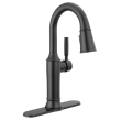 Delta Broderick(R): Eschtcheon, Mounting Screws, Gasket, Nuts & Washers, RP100845BL