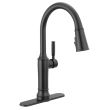 Delta Broderick(R): Eschtcheon, Mounting Screws, Gasket, Nuts & Washers, RP100845BL