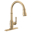 Delta Broderick(R): Escutcheon - Pulldown, RP100845CZ