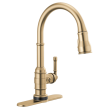 Delta Broderick(R): Escutcheon - Pulldown, RP100845CZ