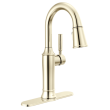 Delta Renaldi(TM): Escutcheon, RP100845PNPR