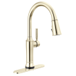 Delta Renaldi(TM): Escutcheon, RP100845PNPR