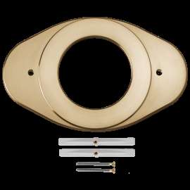 Delta Other: Shower Renovation Cover Plate, RP29827CZ