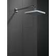Delta Other: Shower Arm, RP40593