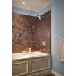 Delta Other: Shower Arm, RP40593